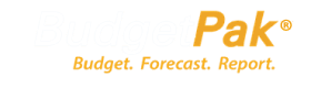 BudgetPak Logo